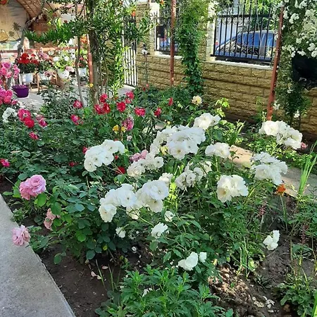 Gabi Гостевой дом Костинешти