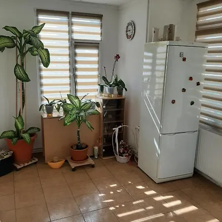 Gabi Pensjonat 3*